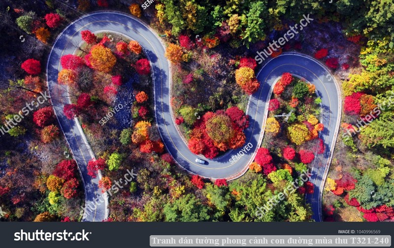 Tranh dán tường phong cảnh hồ thác, cây cối T321-468